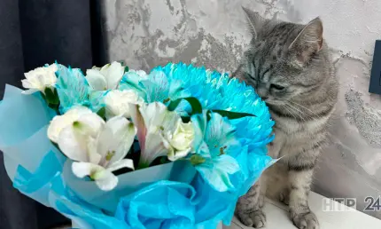 В Роскачестве рассказали, как выбрать цветы на 8 Марта - НТР 24