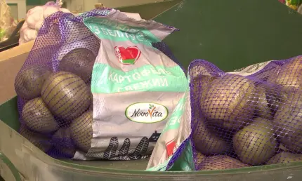 В Татарстане выросли цены на сметану, картофель и детское питание - НТР 24