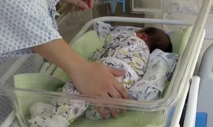 Много ли в Нижнекамске чайлдфри - НТР 24