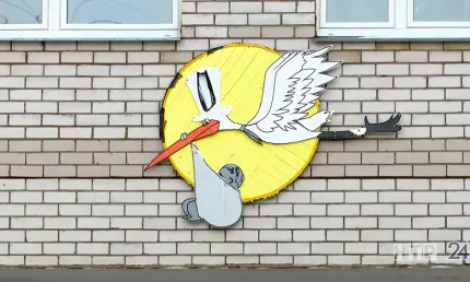 Амир и Ева: названы самые популярные имена в Нижнекамске за 2024 год - НТР 24