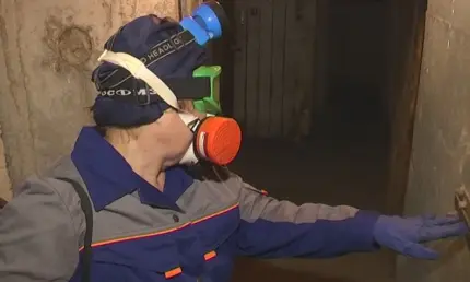 Дезинфекторам и дезинсекторам запретили работать без лицензии - НТР 24