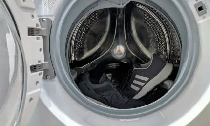 СМИ: LG возобновила производство бытовой техники в России - НТР 24