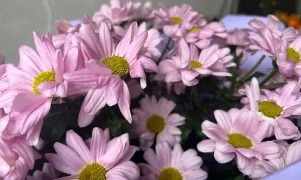 Сколько нижнекамцы готовы потратить на подарок к 8 Марта — опрос - НТР 24