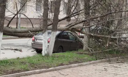 Из-за очень сильного ветра в Татарстане объявили штормовое предупреждение - НТР 24