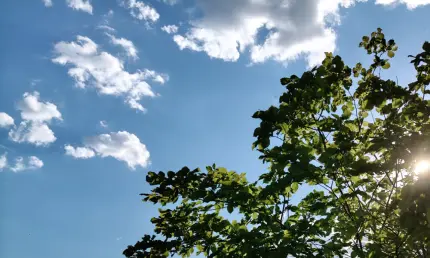 Минобороны сообщило об уничтожении БПЛА над Татарстаном - НТР 24