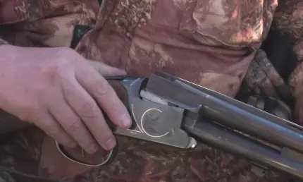 В Татарстане завершился сезон охоты на боровую дичь - НТР 24