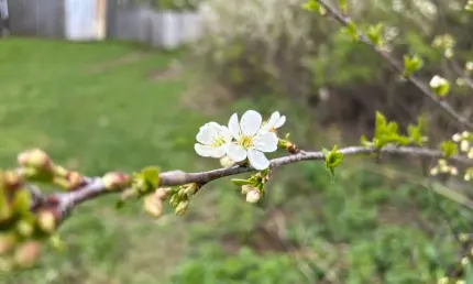 Синоптики рассказали о погоде в Татарстане 1 мая - НТР 24