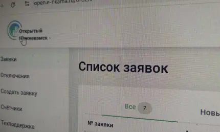 С 1 мая перестанет работать сервис «Открытый Нижнекамск» - НТР 24