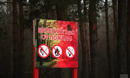 Шашлыки отменяются: за пожары на майских праздниках штрафы для татарстанцев вырастут вдвое - НТР 24