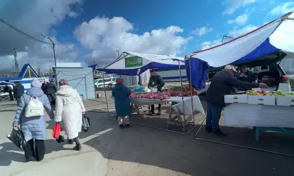 335 млн рублей: татарстанцы активно покупают на сельхозярмарках - НТР 24