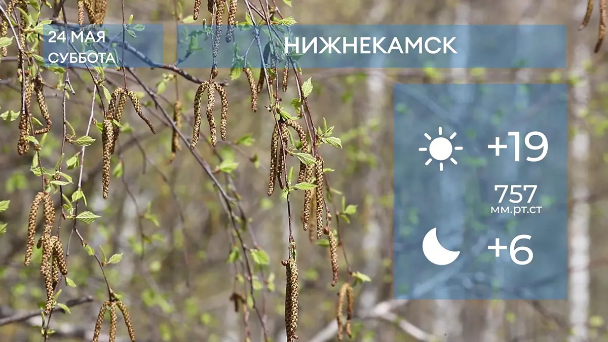Прогноз погоды в Нижнекамске на 24-е мая 2025 года