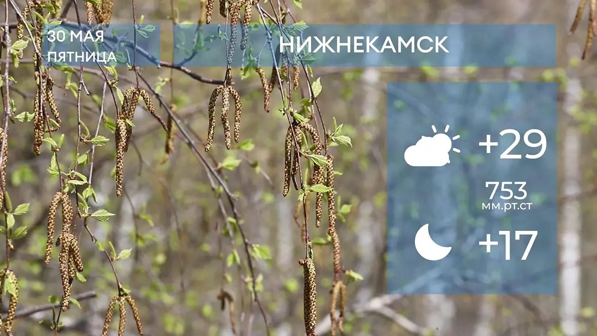 Прогноз погоды в Нижнекамске на 30-е мая 2025 года
