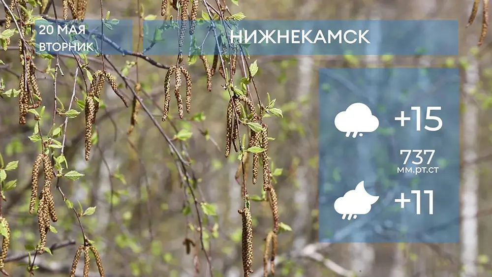 Прогноз погоды в Нижнекамске на 20-е мая 2025 года
