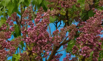 Майский холод: в праздники погода огорчит жителей Татарстана - НТР 24