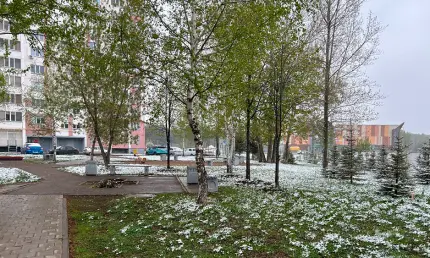 В Татарстан вновь пришли заморозки до -2 градусов - НТР 24