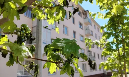 Синоптики рассказали о погоде в Татарстане 9 мая - НТР 24