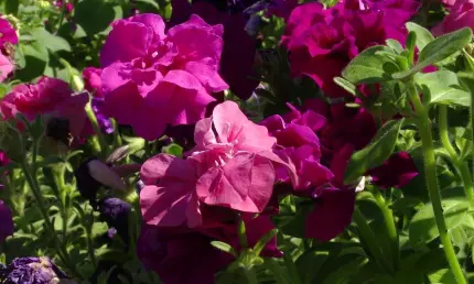 Жара нагрянет: метеорологи анонсируют резкое потепление в Татарстане - НТР 24