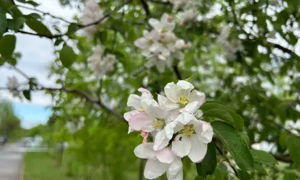 Готовьте зонты и теплые вещи: какая погода ждет Татарстан в День Победы - НТР 24