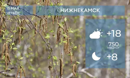 Прогноз погоды в Нижнекамске на 15-е мая 2025 года - НТР 24