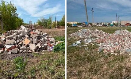 Экологи нашли две свалки в посёлке Камские Поляны - НТР 24