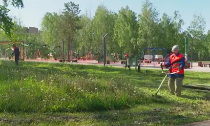 В Нижнекамске стартовал сезон покоса травы - НТР 24