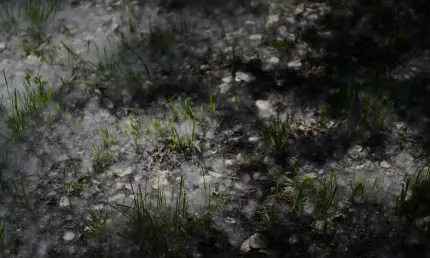 Тополиный пух не виноват: что вызывает аллергию на самом деле - НТР 24