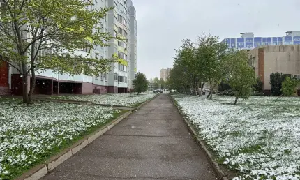 Вильфанд спрогнозировал снег и заморозки до -7 в последние дни мая - НТР 24