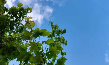 Какая погода ждет жителей Татарстана в июне - НТР 24