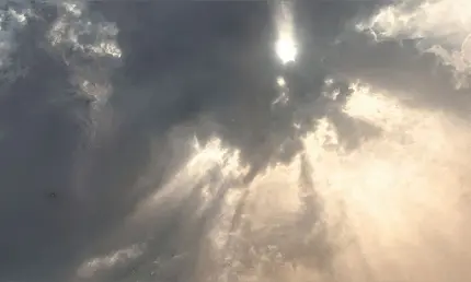 В Татарстан придёт сильный ветер, опустится туман - НТР 24