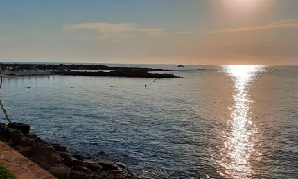 Визовый режим между Россией и Иорданией для туристов планируют отменить - НТР 24