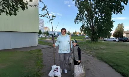Приключения рябины в Нижнекамске: дерево обрело новый безопасный дом - НТР 24