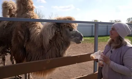 В Татарстане начался прием заявочных документов на грант «Агротуризм» - НТР 24