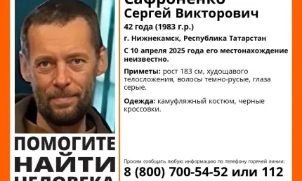 Волонтеры месяц разыскивают пропавшего нижнекамца - НТР 24