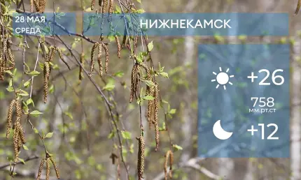 Прогноз погоды в Нижнекамске на 28-е мая 2025 года - НТР 24