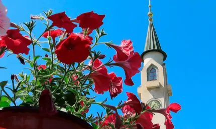 В Нижнекамске обсудили важность духовной поддержки для семей СВО - НТР 24