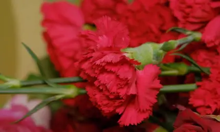 На 82-м году жизни скончался известный татарский музыкант Рустем Утэй - НТР 24