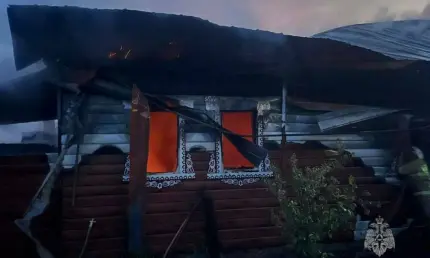 В Татарстане при пожаре в жилом доме погибли два человека - НТР 24