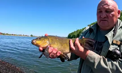 «Люди уже обнаглели»: из озера в Нижнекамске за рейд вытащили более 300 метров раколовок - НТР 24