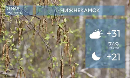 Прогноз погоды в Нижнекамске на 31-е мая 2025 года - НТР 24