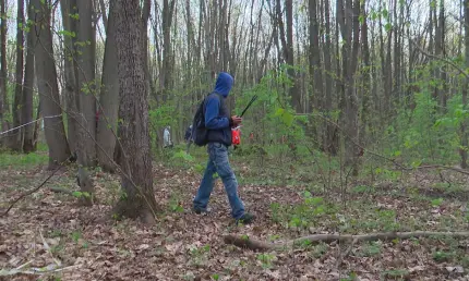 В Нижнекамске объявлен срочный сбор на поиски потерявшейся в лесу женщины - НТР 24
