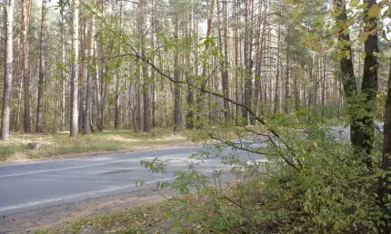 В Нижнекамском районе 361 человек пострадал от укусов клещей - НТР 24