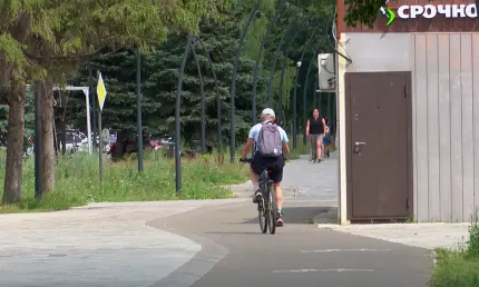 Нижнекамцы рассказали о преимуществах велопоездок на работу - НТР 24