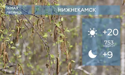 Прогноз погоды в Нижнекамске на 16-е мая 2025 года - НТР 24