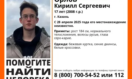 В Татарстане третью неделю разыскивают пропавшего подростка - НТР 24