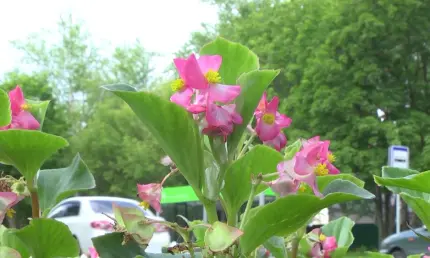 Когда будут следующие длинные выходные - НТР 24