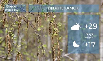 Прогноз погоды в Нижнекамске на 30-е мая 2025 года - НТР 24