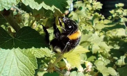 Жара до +32 градусов ждёт жителей Татарстана в конце недели - НТР 24