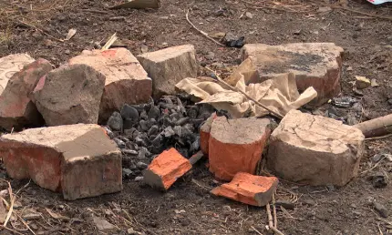 Россиянам рассказали о полезном питании после майских шашлыков - НТР 24