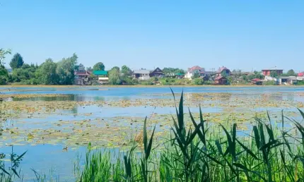 В июне в России ожидается близкая к норме температура - НТР 24