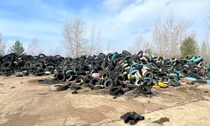 В посёлке Камские Поляны нашли свалку шин площадью почти 2 тыс. кв. метров - НТР 24